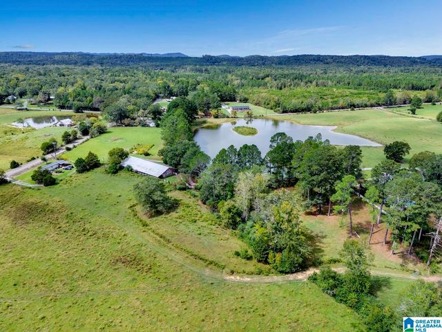 44 NUNNALLY LAKE ROAD, Ohatchee, AL 36271