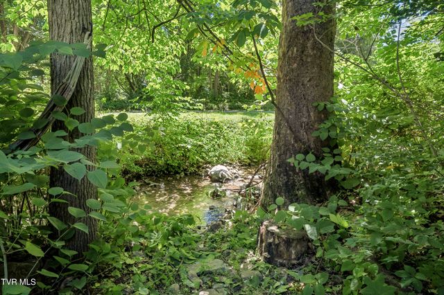 2422 Sinking Creek Road, Johnson City, TN 37604
