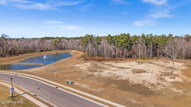 31 Dragonfly Lane, Hampstead, NC 28443