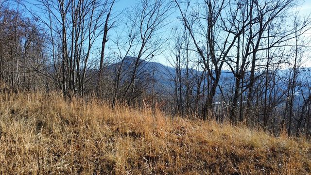 Lot 34 Carlin Road, Hiawassee, GA 30546