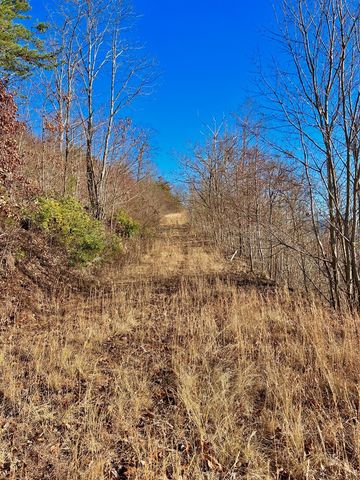 Lot 34 Carlin Road, Hiawassee, GA 30546
