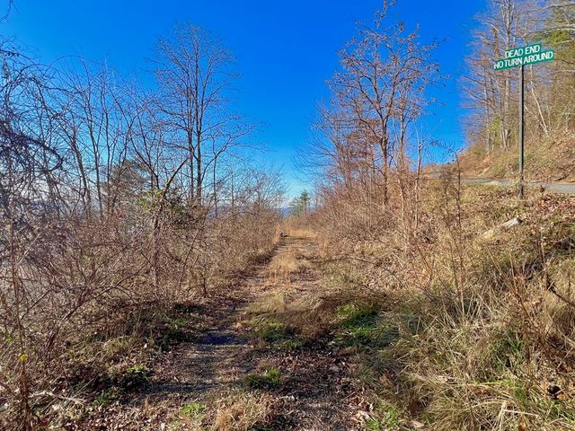 Lot 34 Carlin Road, Hiawassee, GA 30546