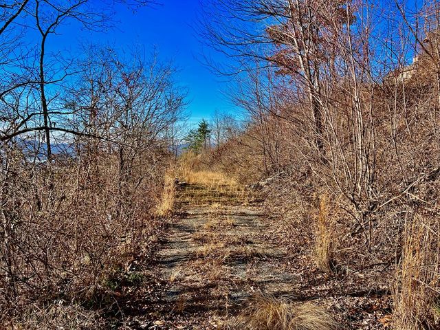 Lot 34 Carlin Road, Hiawassee, GA 30546