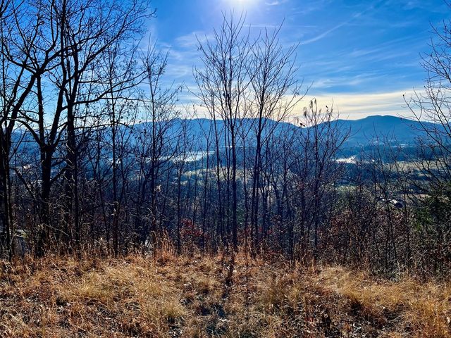 Lot 34 Carlin Road, Hiawassee, GA 30546
