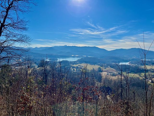 Lot 34 Carlin Road, Hiawassee, GA 30546