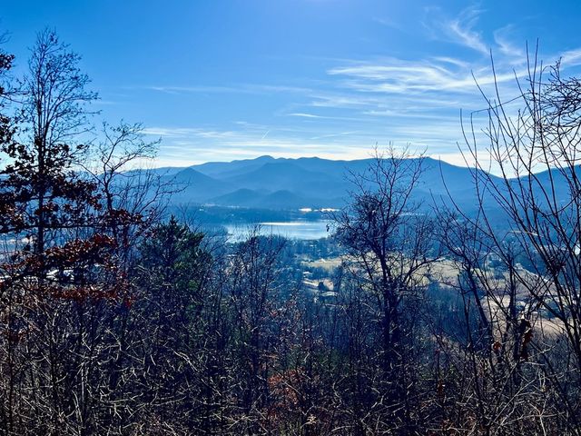 Lot 34 Carlin Road, Hiawassee, GA 30546