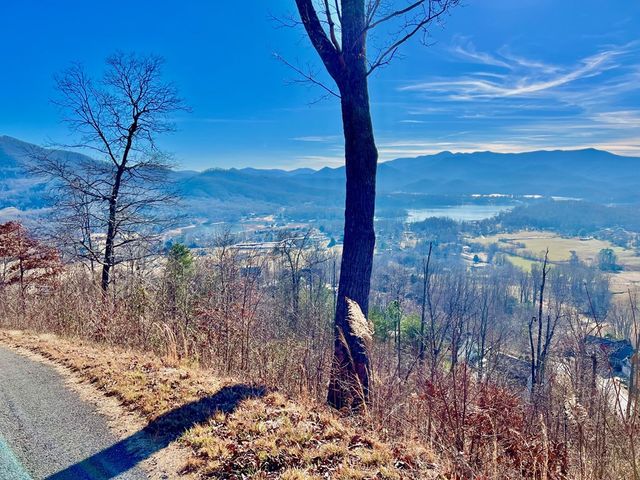 Lot 34 Carlin Road, Hiawassee, GA 30546