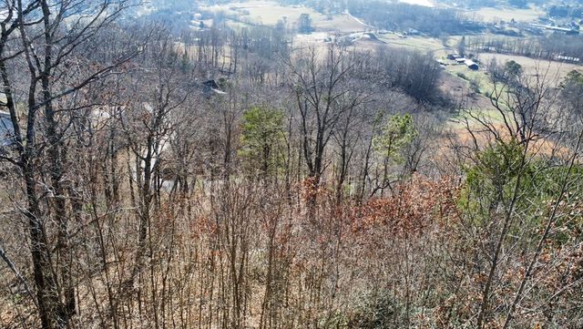 Lot 34 Carlin Road, Hiawassee, GA 30546