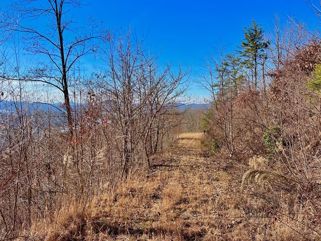 Lot 34 Carlin Road, Hiawassee, GA 30546