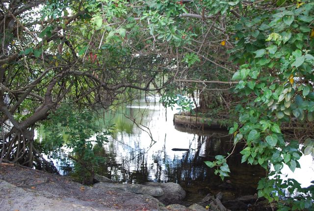 19232 NE 25th Avenue 221b, Miami, FL 33180