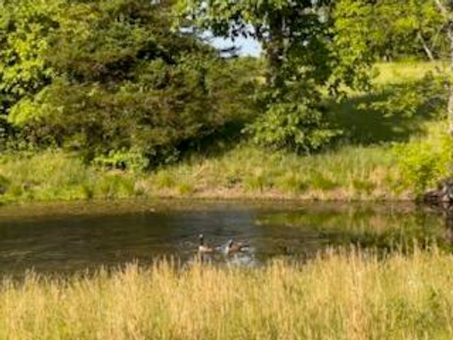 1081 Johnson Road, Lawrenceburg, KY 40342