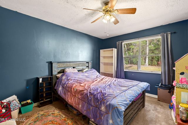 21 Richard Johnson Road, Carriere, MS 39426