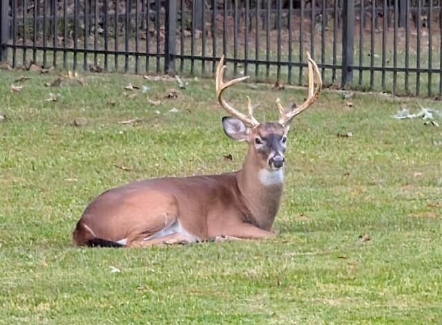 3582 Heathermoor Court, Mount Pleasant, SC 29466