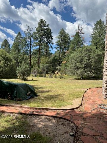 991 NM-35, Silver City, NM 88061