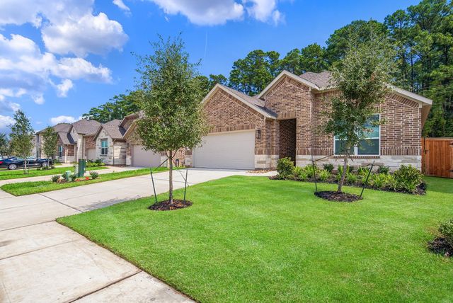 1069 Dancing Feather Street, Montgomery, TX 77316