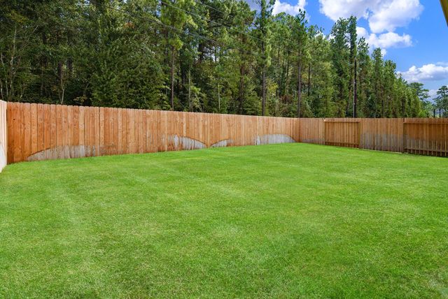 1069 Dancing Feather Street, Montgomery, TX 77316