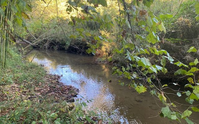 Lt3646-R Fern Drive, Ellijay, GA 30540