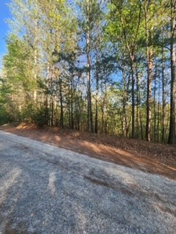 Lt3646-R Fern Drive, Ellijay, GA 30540