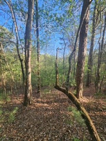 Lt3646-R Fern Drive, Ellijay, GA 30540