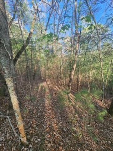 Lt3646-R Fern Drive, Ellijay, GA 30540