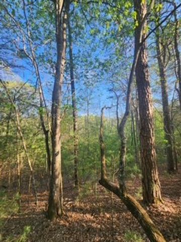 Lt3646-R Fern Drive, Ellijay, GA 30540