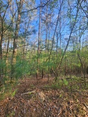 Lt3646-R Fern Drive, Ellijay, GA 30540