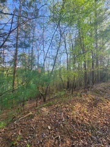 Lt3646-R Fern Drive, Ellijay, GA 30540