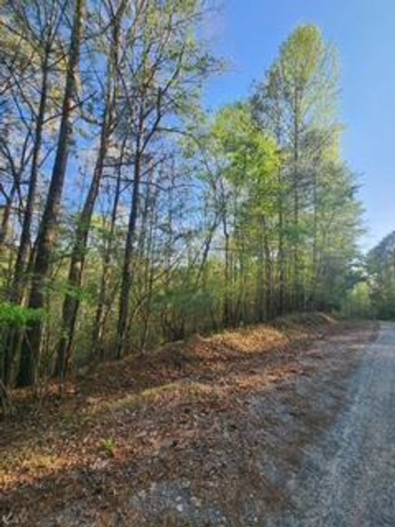 Lt3646-R Fern Drive, Ellijay, GA 30540
