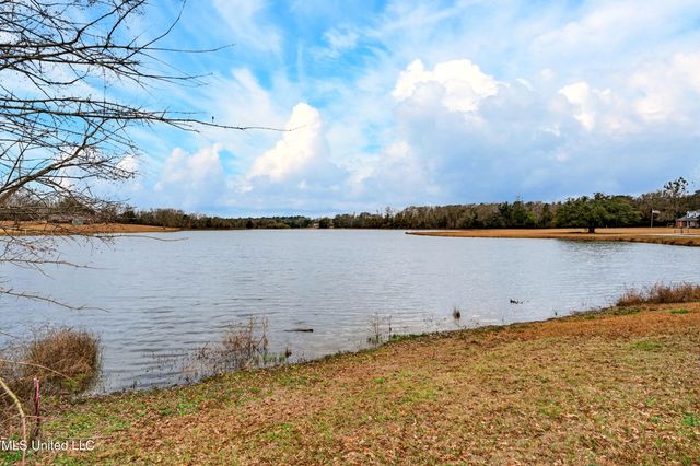 20 Hawkins Drive, Carriere, MS 39426