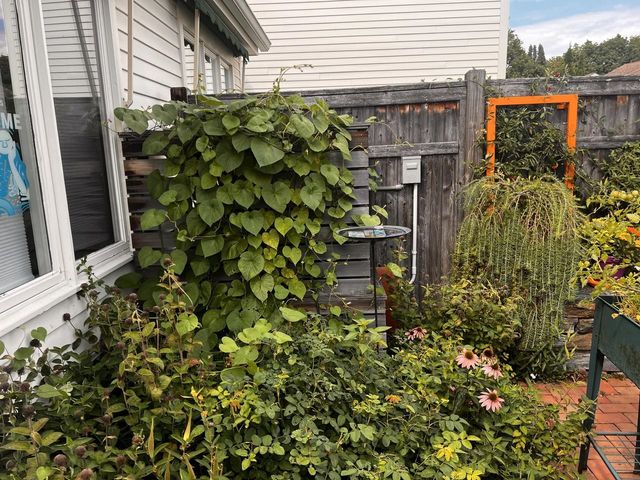 545 S Prospect St Unit 22, Burlington, VT 05401