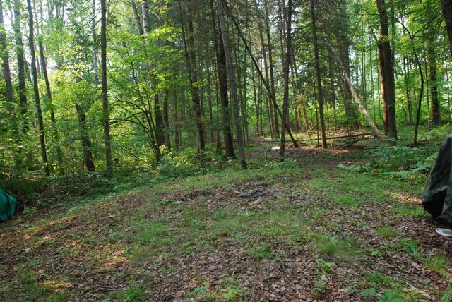 2120 Andys Lane, Beaverton, MI 48612