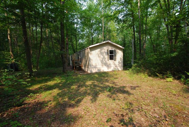 2120 Andys Lane, Beaverton, MI 48612