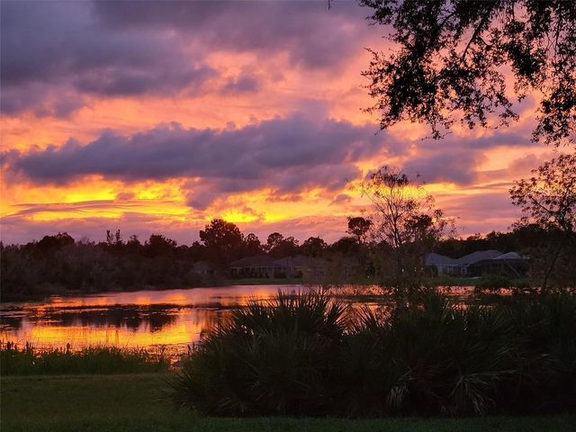 18048 ARBOR CREST DRIVE, Tampa, FL 33647