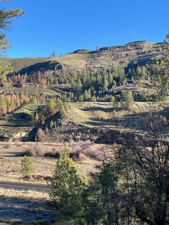 31824 Blue Grouse E Dr, Davenport, WA 99122 photo 2