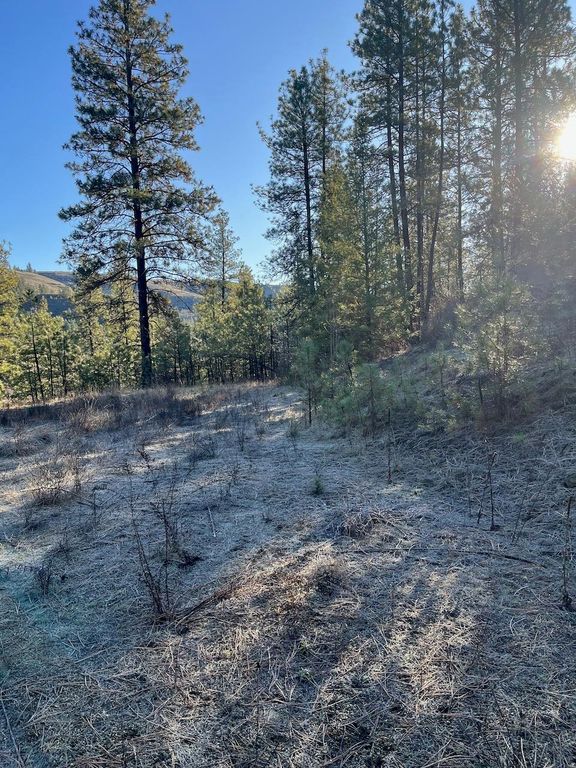 31824 Blue Grouse E Dr, Davenport, WA 99122 photo 11