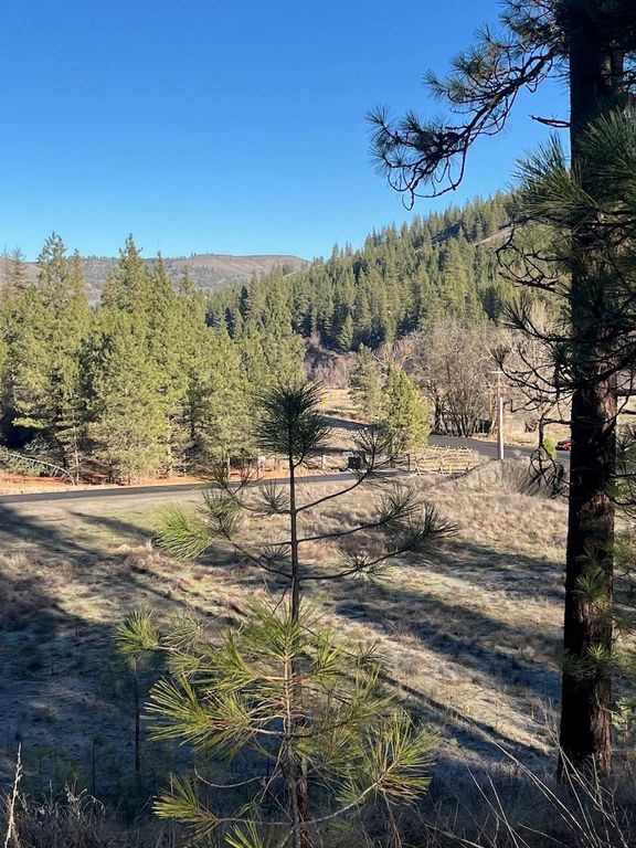 31824 Blue Grouse E Dr, Davenport, WA 99122 photo 12