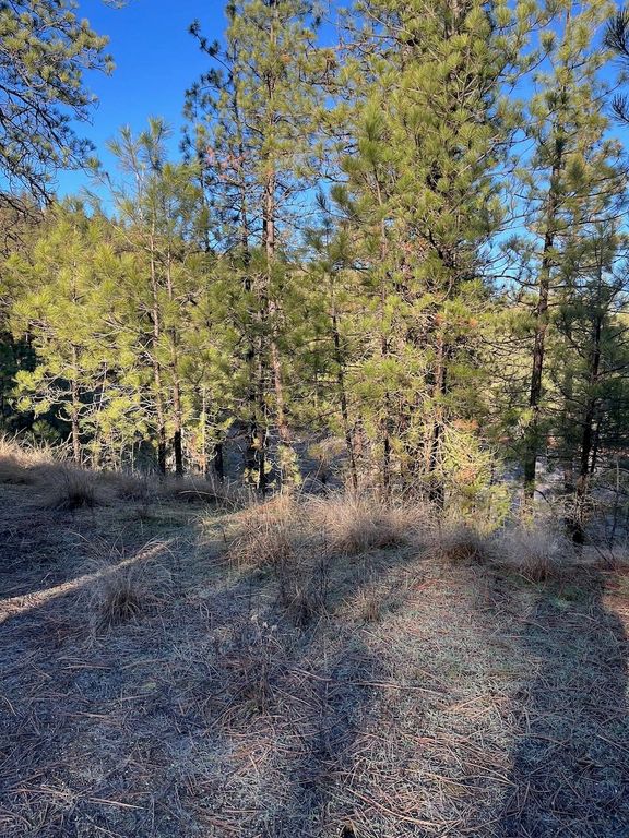 31824 Blue Grouse E Dr, Davenport, WA 99122 photo 13