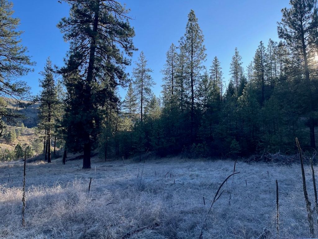 31824 Blue Grouse E Dr, Davenport, WA 99122 photo 3