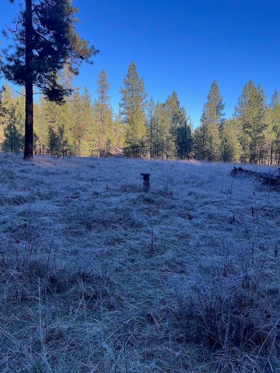 31824 Blue Grouse E Dr, Davenport, WA 99122 photo 4