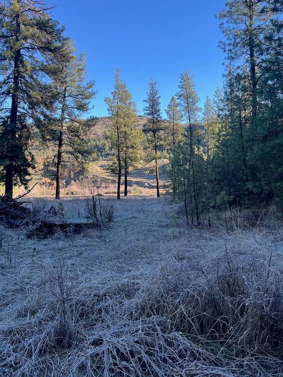 31824 Blue Grouse E Dr, Davenport, WA 99122 photo 5