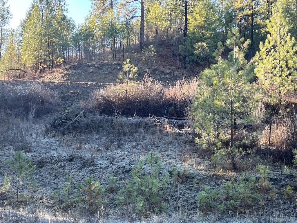 31824 Blue Grouse E Dr, Davenport, WA 99122 photo 7