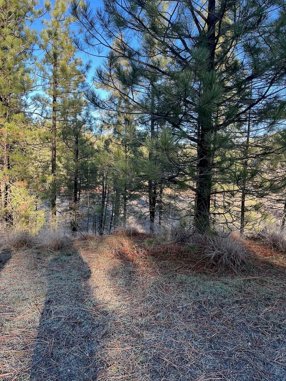 31824 Blue Grouse E Dr, Davenport, WA 99122 photo 8