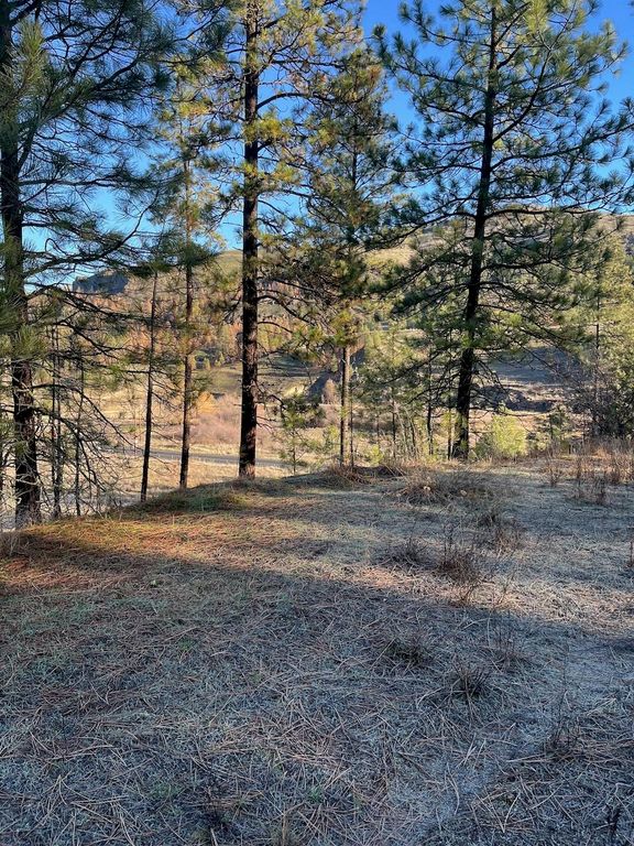 31824 Blue Grouse E Dr, Davenport, WA 99122 photo 9