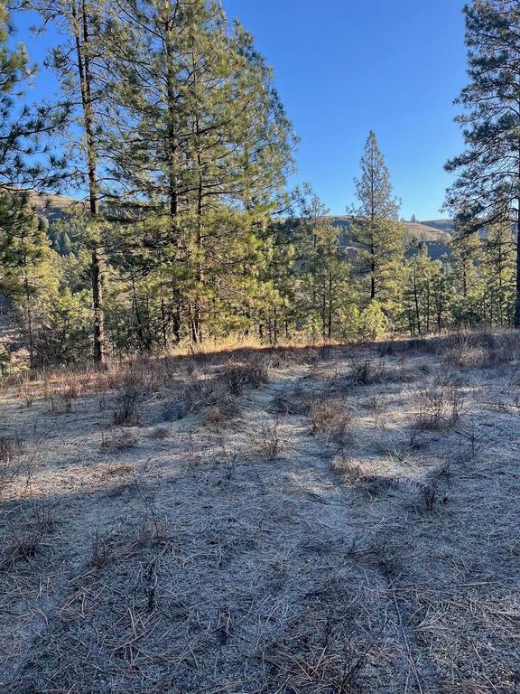 31824 Blue Grouse E Dr, Davenport, WA 99122 photo 10