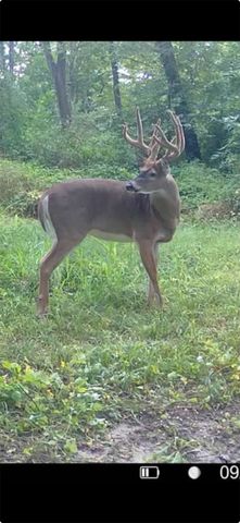 1075 Highway T17 Highway, Pella, IA 50219