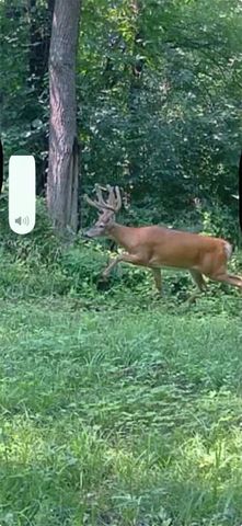 1075 Highway T17 Highway, Pella, IA 50219