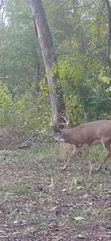 1075 Highway T17 Highway, Pella, IA 50219