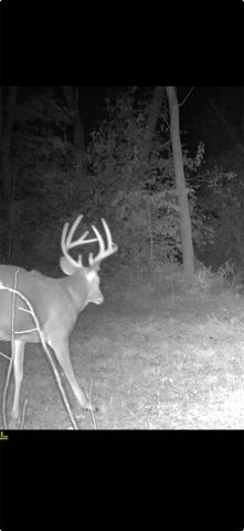 1075 Highway T17 Highway, Pella, IA 50219