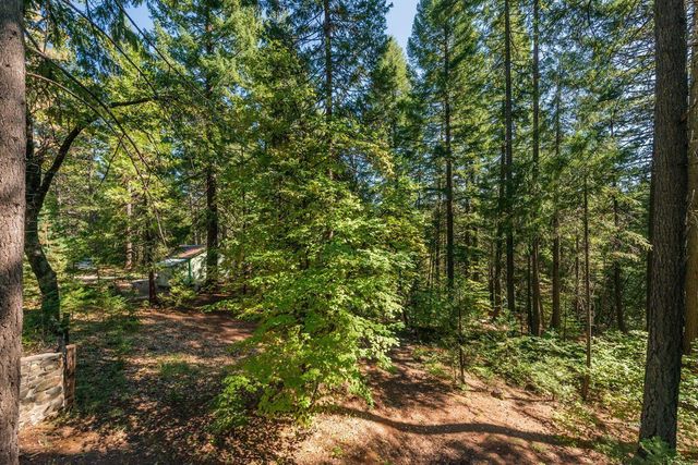 761 Lake Forest Drive, Trinity Center, CA 96091