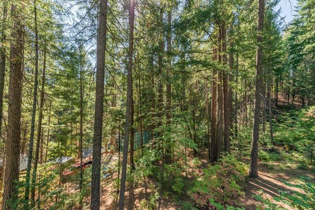 761 Lake Forest Drive, Trinity Center, CA 96091